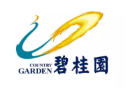 连平碧桂园地产